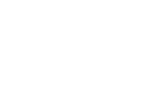 NeuroRedacer